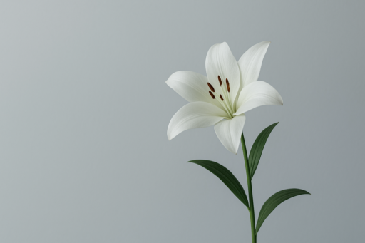 Forståelse af begravelsesomkostninger og hvad du kan forvente